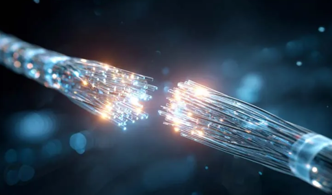 What is OLP? How Does OLP Protect Optical Lines from Interruption?