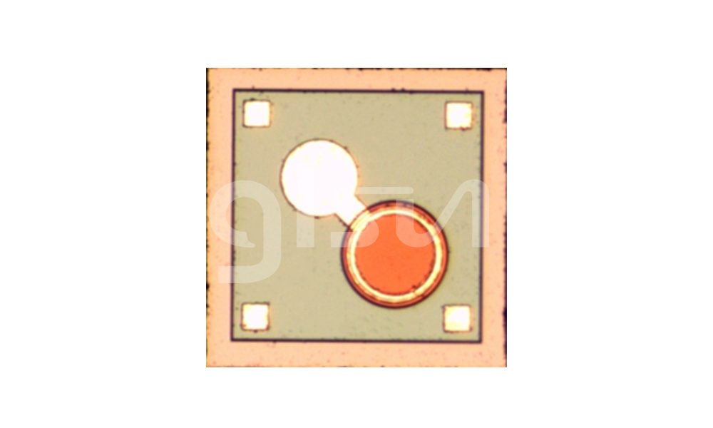 PIN PD / MPD Chips